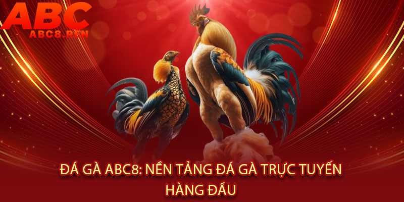 Đá Gà Abc8 - Cược CHÍNH XÁC, thắng SIÊU ĐẬM 2 Đá Gà Abc8: Nền Tảng Đá Gà Trực Tuyến Hàng Đầu
