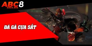 Đá Gà Cựa Sắt