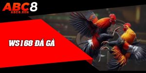 WS168 Đá Gà